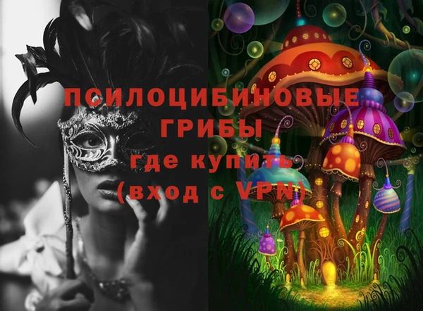 шишки Верея