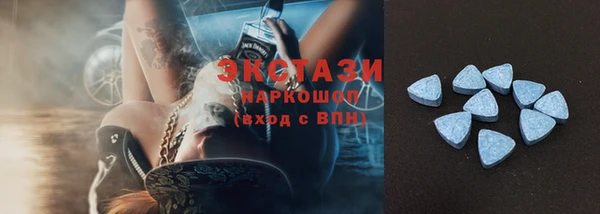шишки Верея
