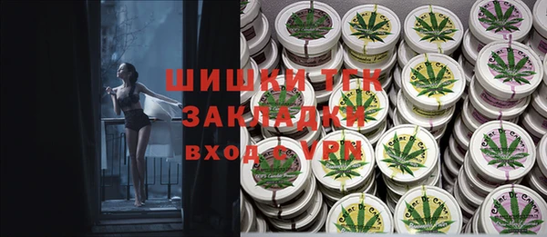 шишки Верея