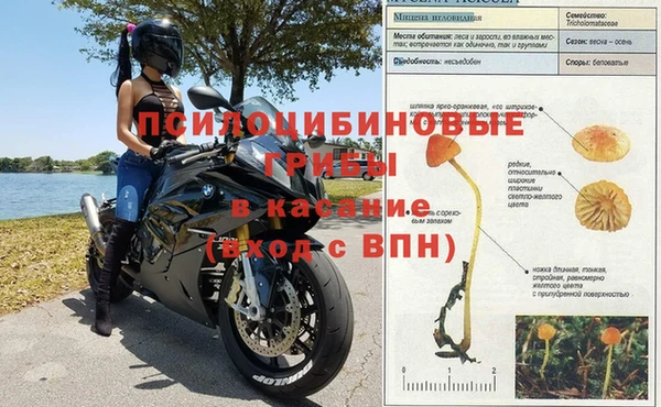 дживик Волосово