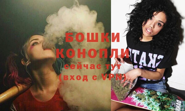 apvp Володарск