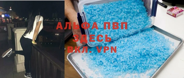 шишки Верея