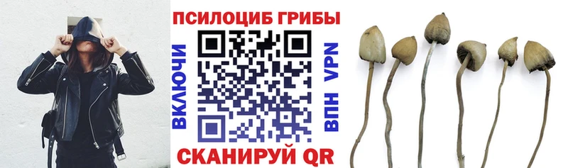 Галлюциногенные грибы Psilocybe  ОМГ ОМГ зеркало  Калязин  закладки 